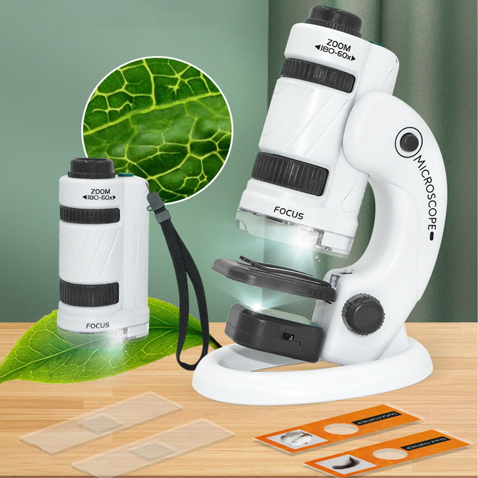 Amazon.com: Portable Kit with Detachable Stand LED Dual Light for